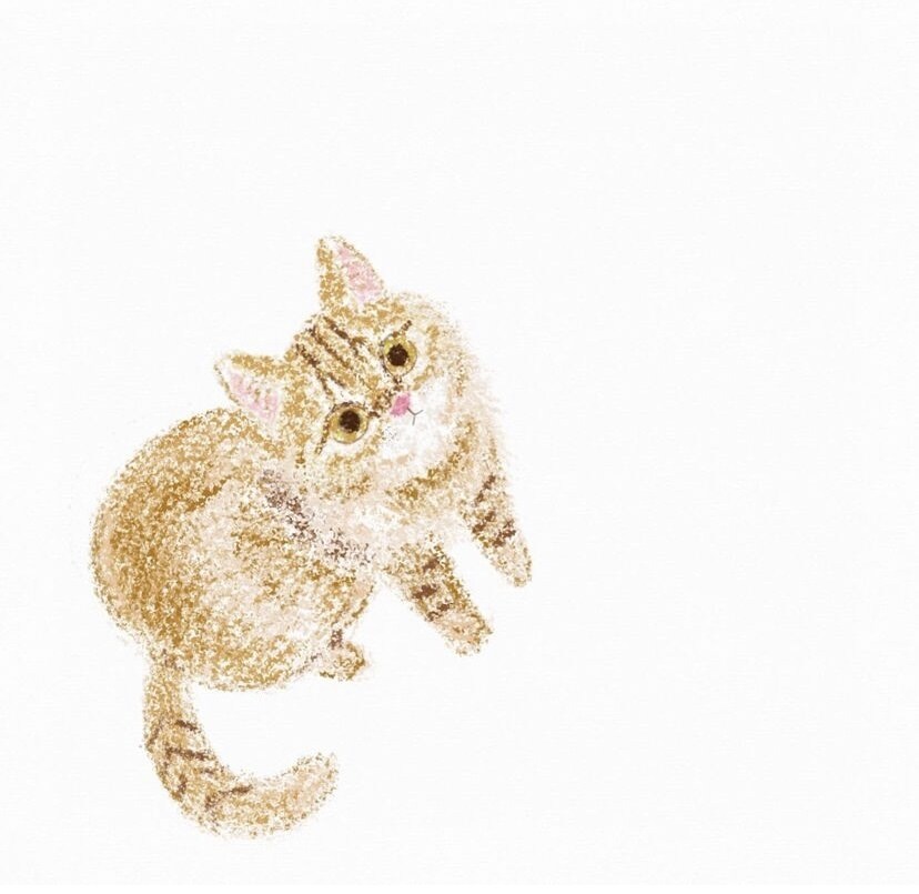 ペットのイラストを描きます あなたのお家の小さな家族（ペット）の絵を描かせてください！ イメージ5
