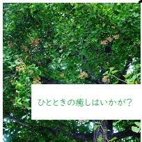 お疲れ様です(*´◒`*)癒しの電話いたします 人を褒める事に定評のある癒し系女子によるホッと電話 イメージ1
