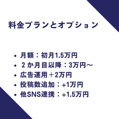 AI×SNSで集客自動化サポートします 中小企業向け！AI活用で楽にSNS集客支援します イメージ5