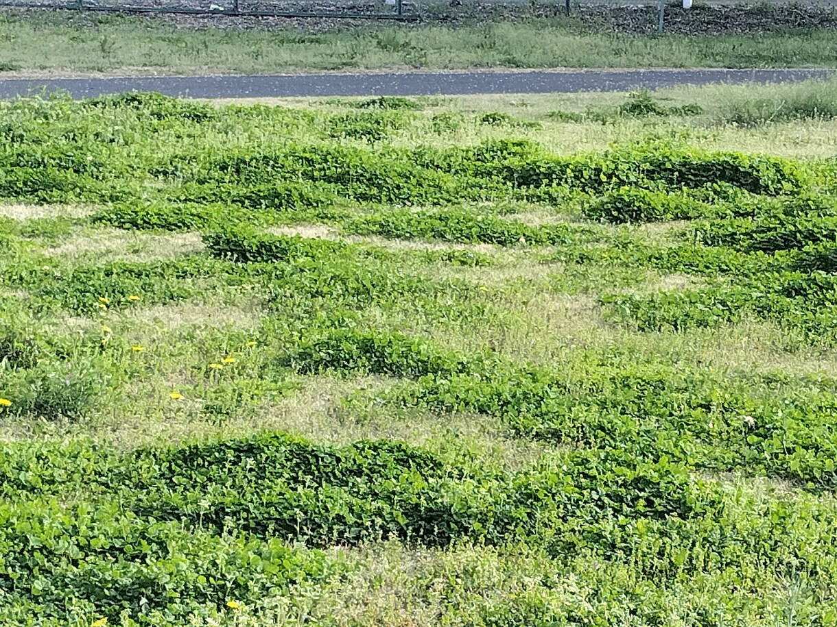 友達感覚で色々聞きます なんでも話しましょ♩聞いてほしい人おいでー♩ イメージ2