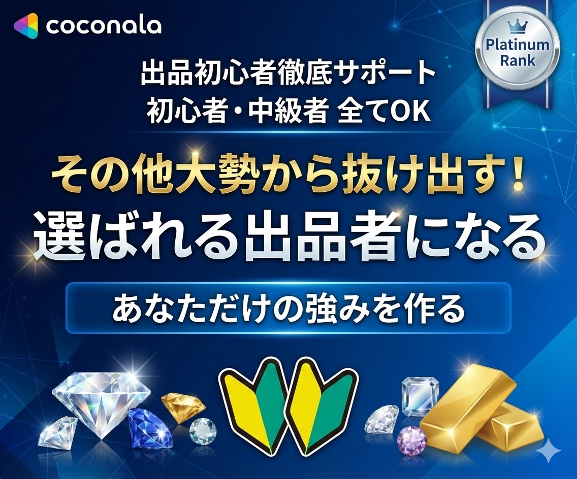 プラチナランク1年以上⭐️ココナラのコンサルします マーケティング戦略をふまえたブランディング★丁寧に解説 イメージ4