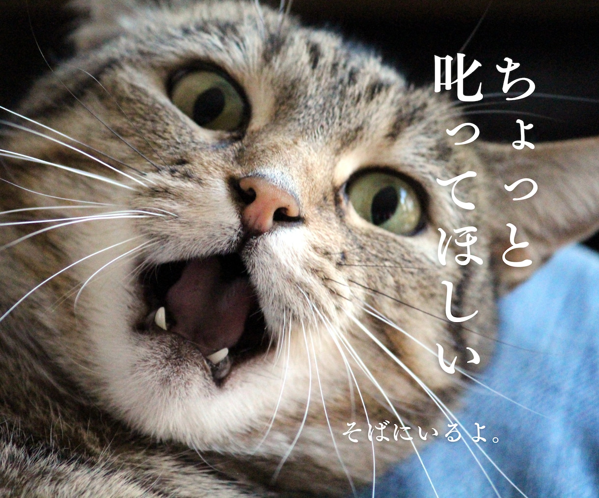 そばにいるよ♡ 話したいに 寄添います 心のホコリやチリを吐き出すことを日常に♡ イメージ9