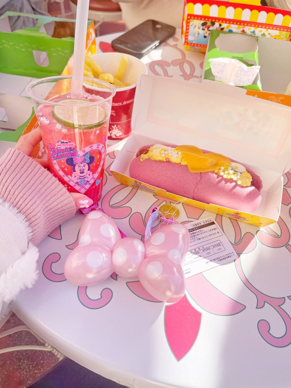 子連れディズニーのゆるプラン一緒に考えます 毎月パークに通う子連れディズニーのプロが一緒に考えます♡ イメージ2