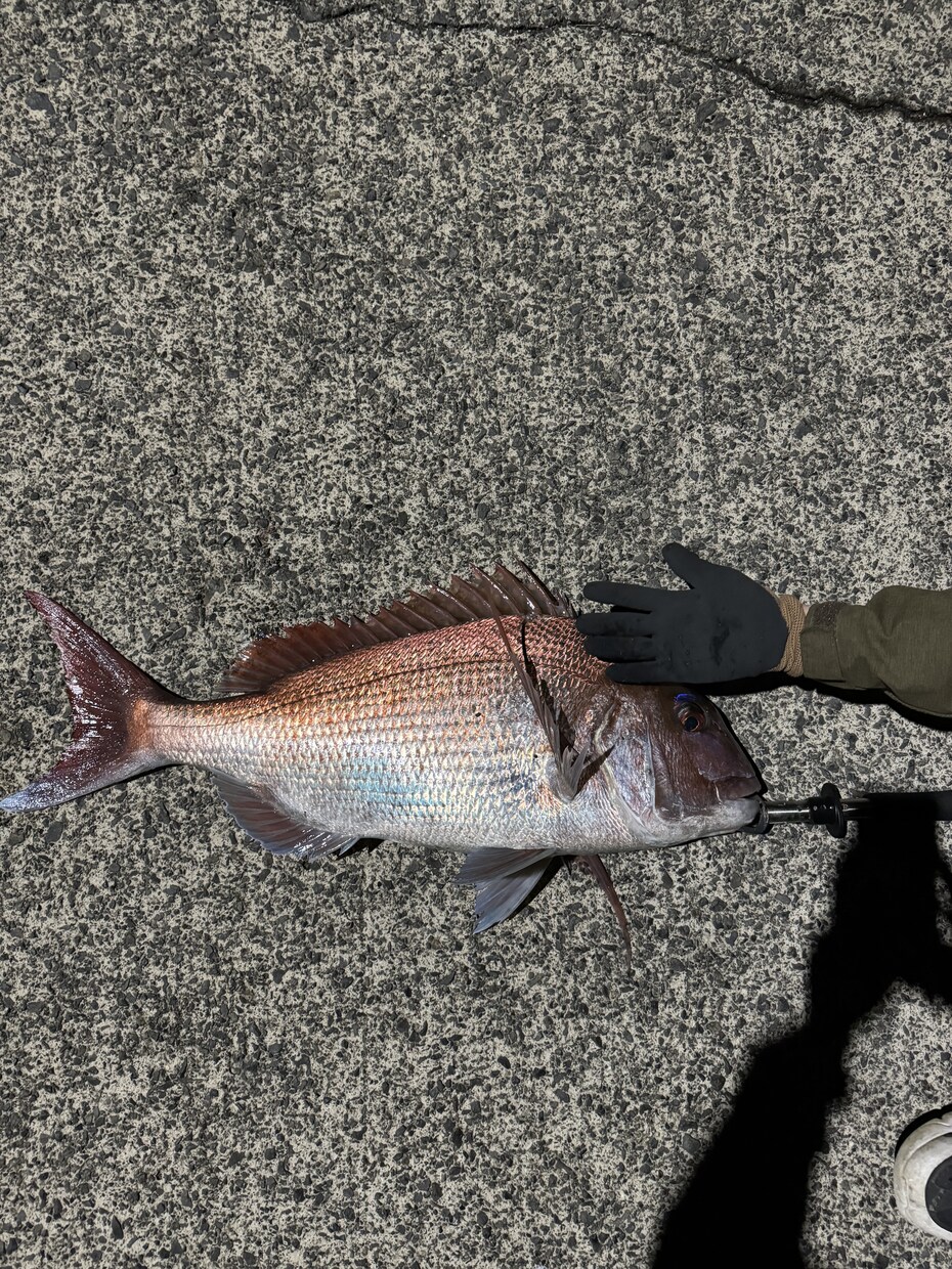 釣りを始めたい方に0から丁寧にアドバイスします 釣りで必要な道具の購入や釣り方を0から丁寧にサポート！ イメージ4