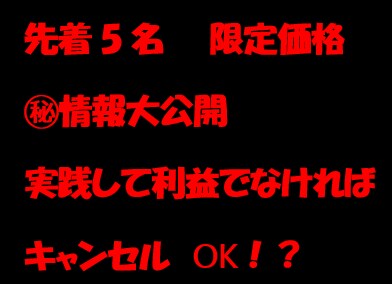実践して利益なければキャンセルOK！稼ぎ方教えます 5名販売ごとに値上げしていきます！ココナラの実績ないため最安 イメージ1