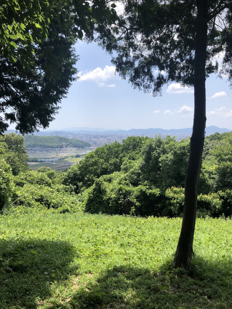 あなたのモヤモヤ聞きます いろいろ人生経験を積んだちょっと歳のおじさんです イメージ1