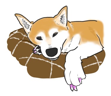 完全手書き！あなたのペットイラストにしちゃいます 写真とはひと味違うあたたかみをアルバムに１枚 イメージ2