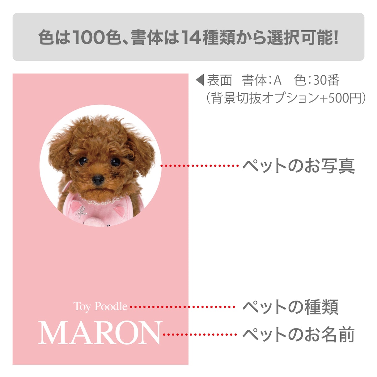 シンプルでかわいいデザインのうちの子名刺を作ります 【両面印刷100枚】送料無料　セミオーダー　QRコード入り。 イメージ2