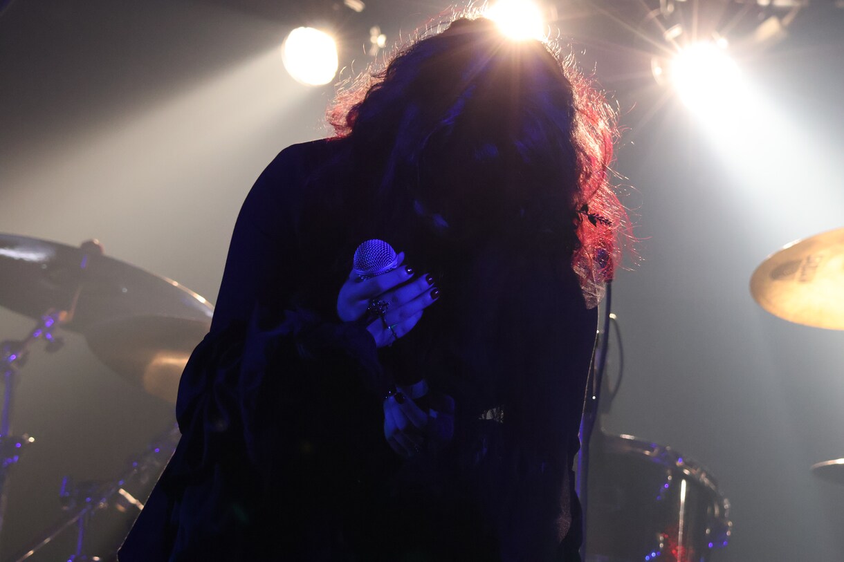 ライブ経験者がダークな歌であなたの曲を彩ります 人間独自の震えやダークな雰囲気を求める方に イメージ2