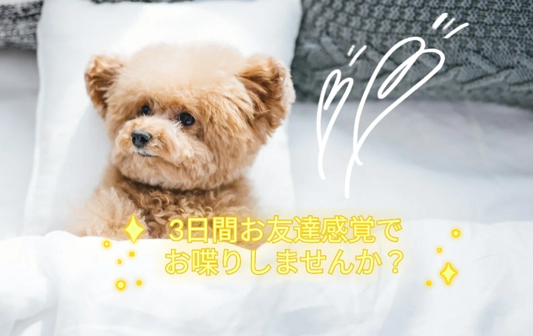 3日間お友達になります 友達感覚で3日間お話しませんか♫リアル優先で気軽におしゃべり イメージ1
