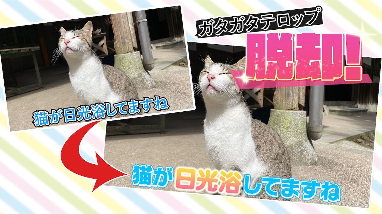 ダサくない…？実務経験者が動画編集します 「イイ感じに」「編集に時間が割けない」そのお悩みに応えます イメージ2
