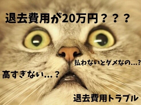 賃貸契約書チェックします 契約前に不安な方へ現役不動産営業が賃貸契約書をチェックします イメージ1