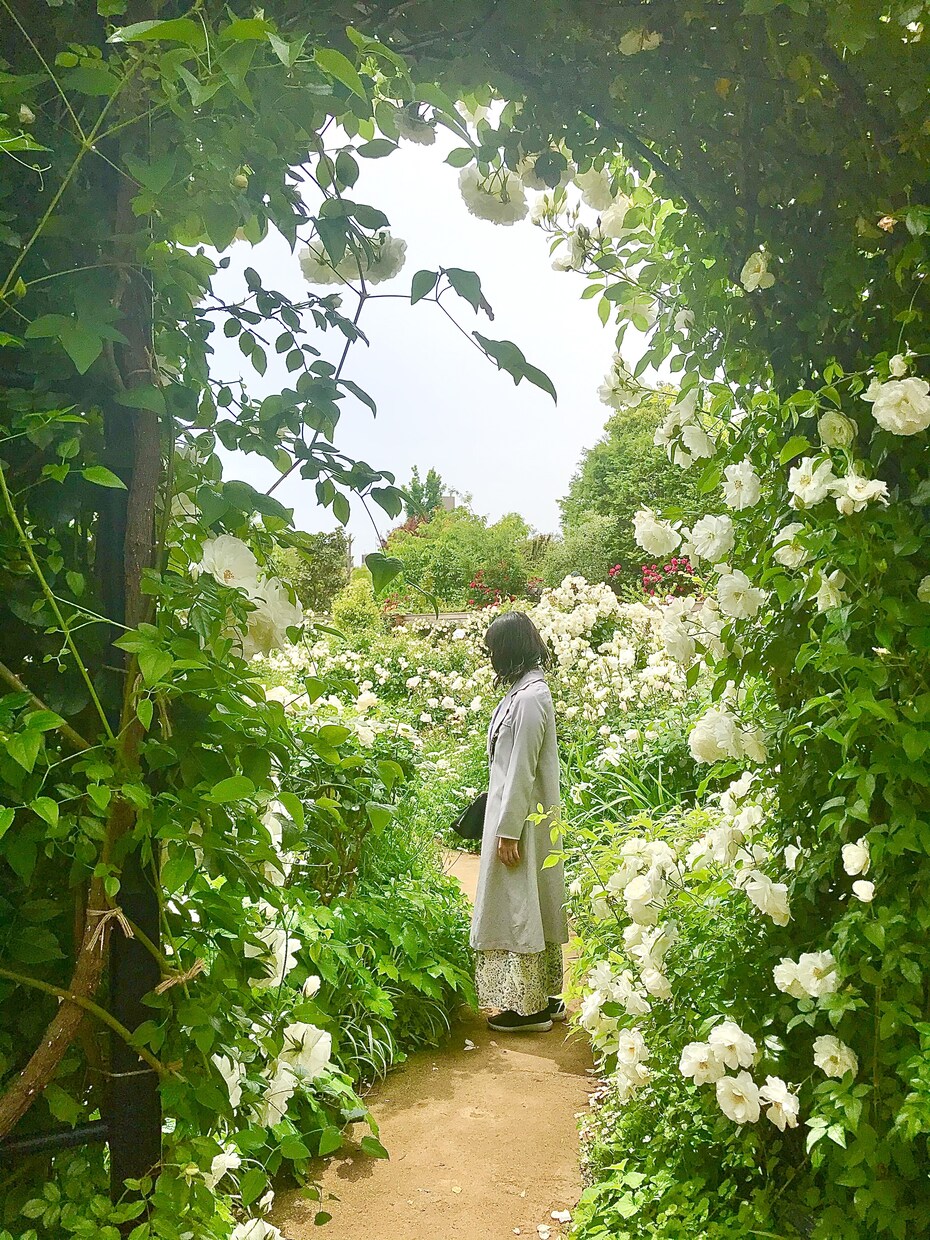 映える神奈川の旅プラン作成します 美しい景色や驚きの体験など映える旅を紹介します イメージ9