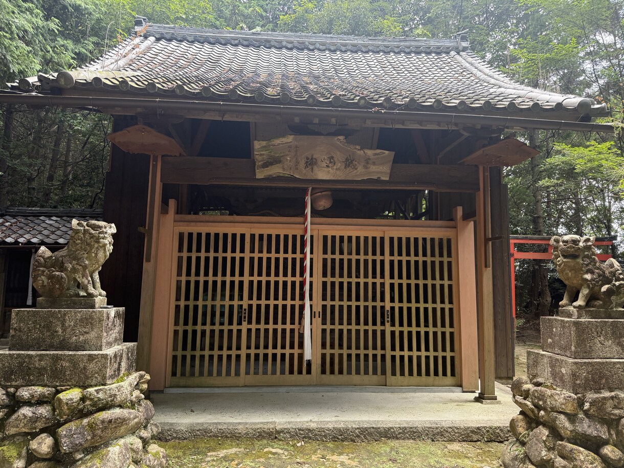 八百万の神からあなたへメッセージを届けます 神様タロット神様オラクルを使ってカード展開いたします イメージ3