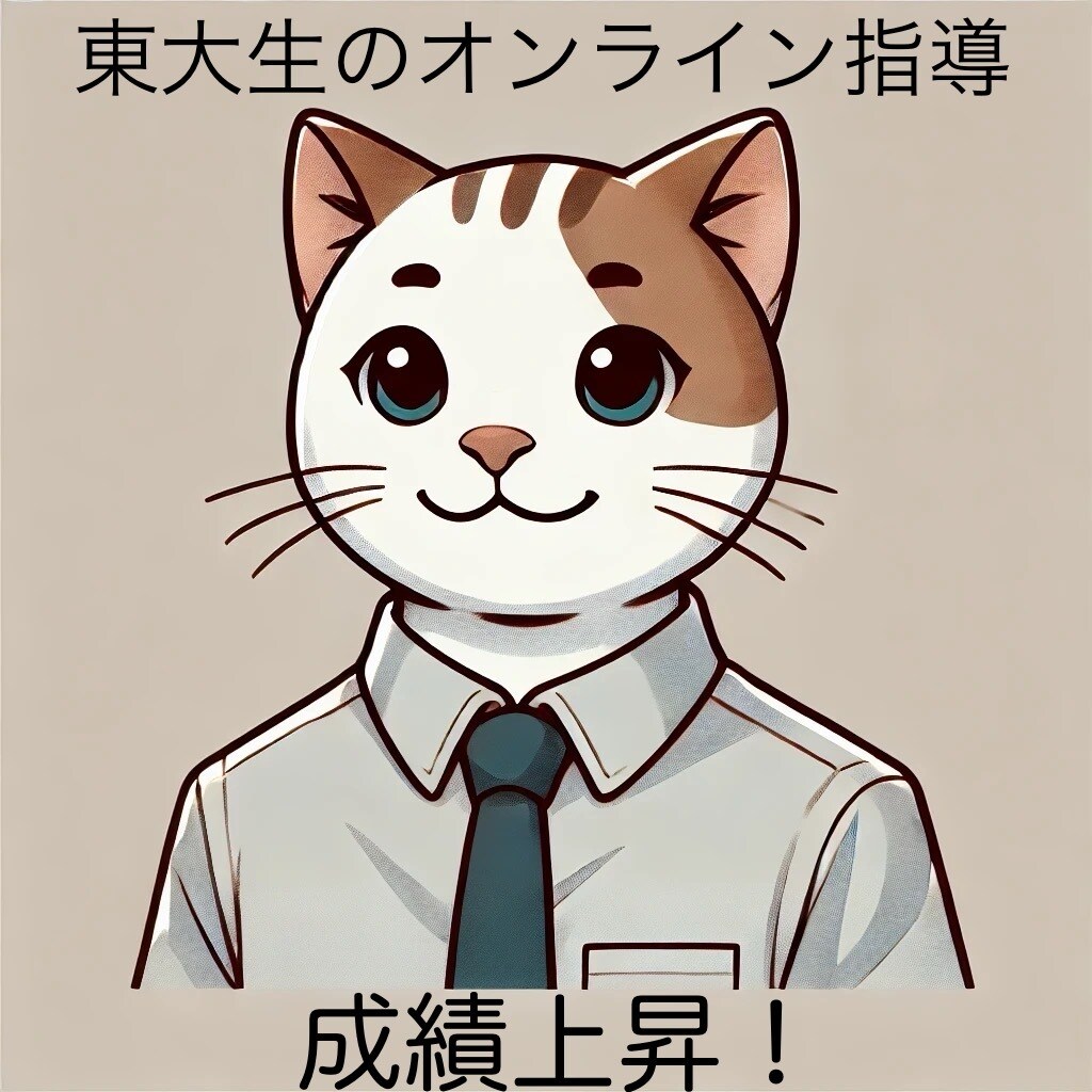 高校受験　現役理系東大生がオンライン指導します 中3向け　全教科対応します！丁寧な指導です♪ イメージ1