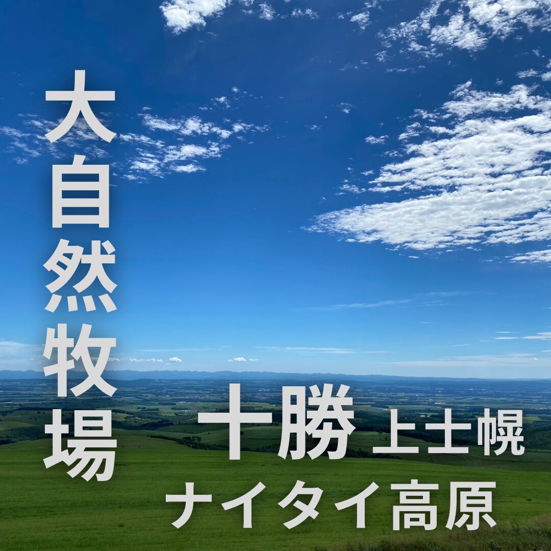1投稿1000円でインスタの画像制作受け付けます 早めの納期に対応！ジャンル問わず投稿画像つくれます！ イメージ5