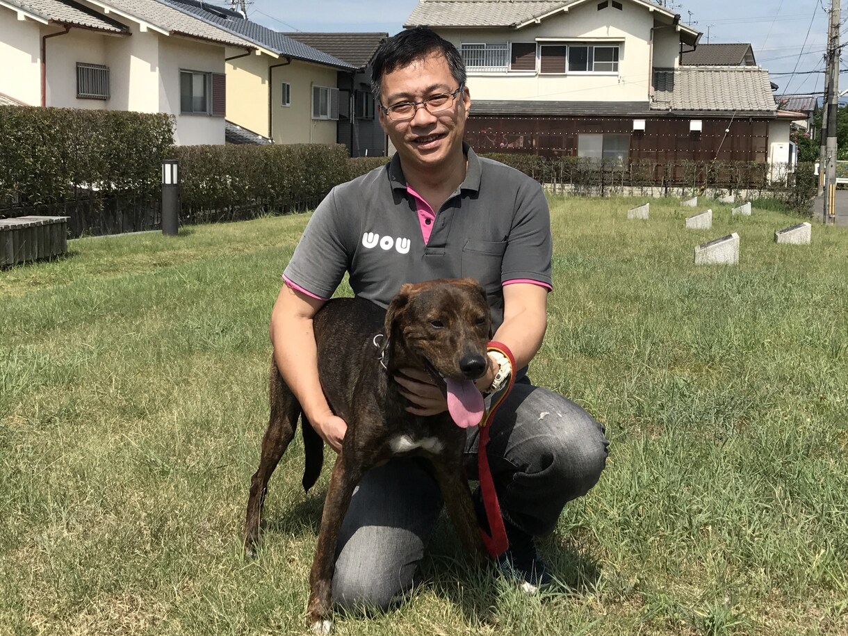 わんぱぱがメールで犬のお悩みお聞ききします ズバリ回答！あなたが悩めば愛犬はもっと悩みますよ！ イメージ1