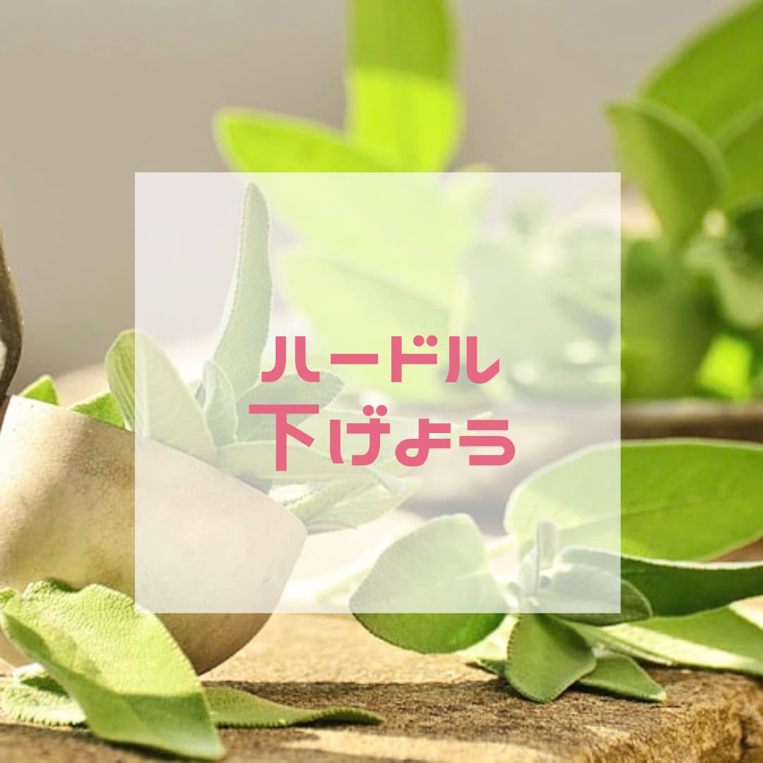 あなたの心のハードル下げるお手伝いをします 一生懸命がんばっているあなたの心の声、親身にお聞きします イメージ1