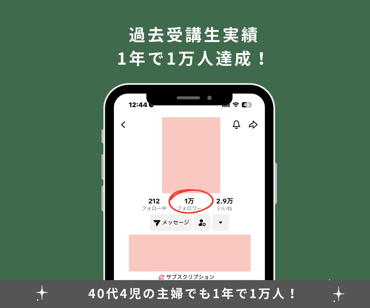 企業3社のSNS講師がTIKTOK相談乗ります 過去受講生1年で1万人、8日で1,002人フォロー達成 イメージ3
