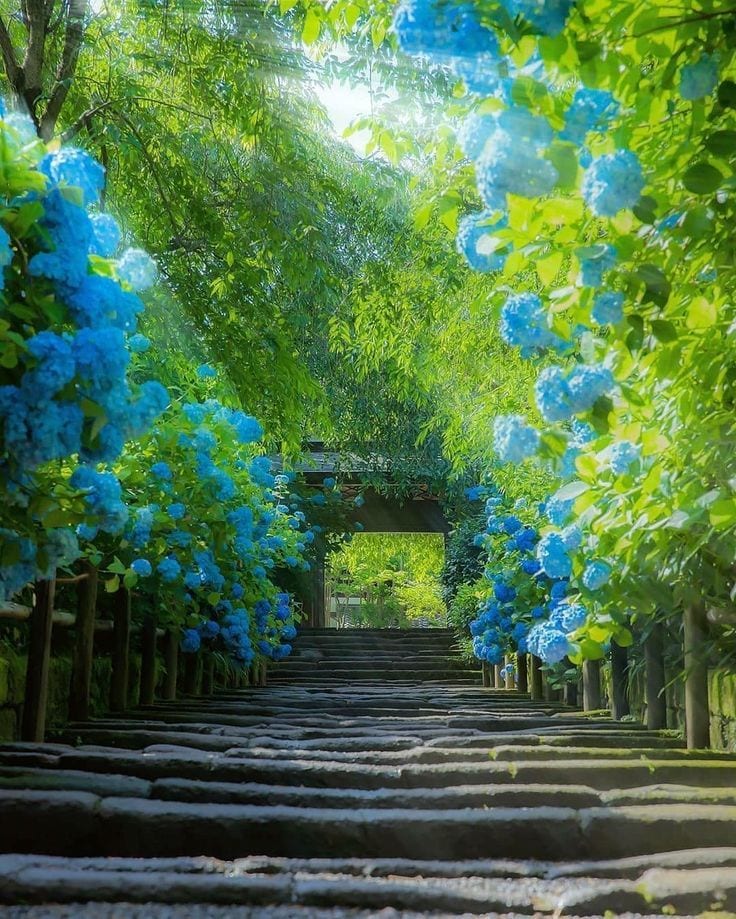 恋愛魂霊視｜片思い彼の気持ち・本心・脈ありを視ます 彼女持ち・キープ・都合のいい女｜報われない恋の本音を深層鑑定 イメージ9