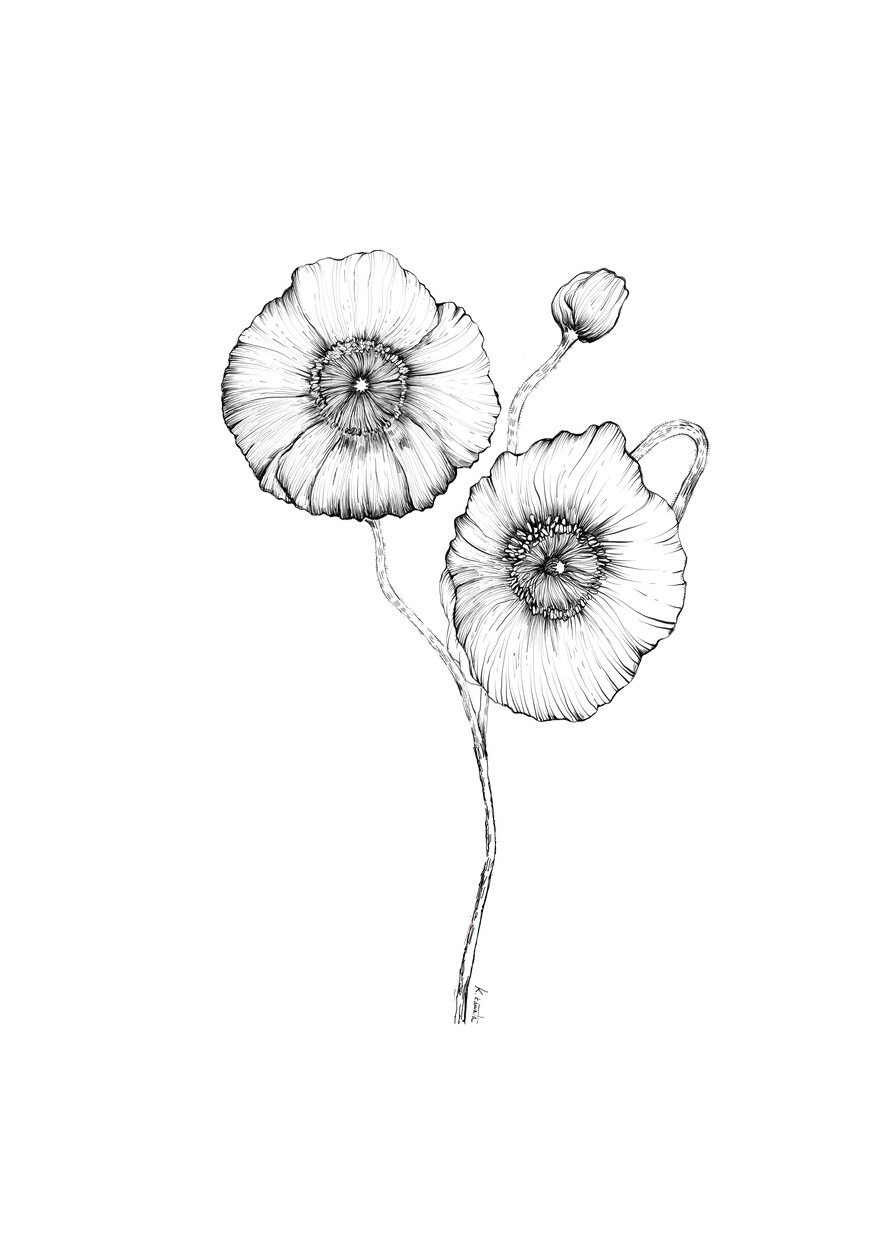 あなたのお好きな花束、描きます お好きな花束データ制作いたします。 イメージ3