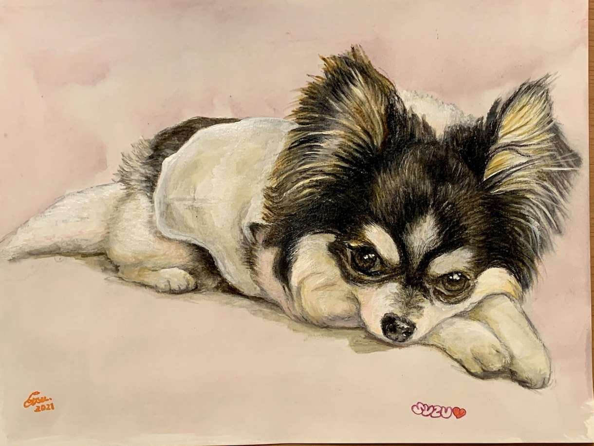 写真から愛犬の似顔絵を描きます 大切な家族の一枚を形に虹の橋を渡った子の思い出にいかが？ イメージ3