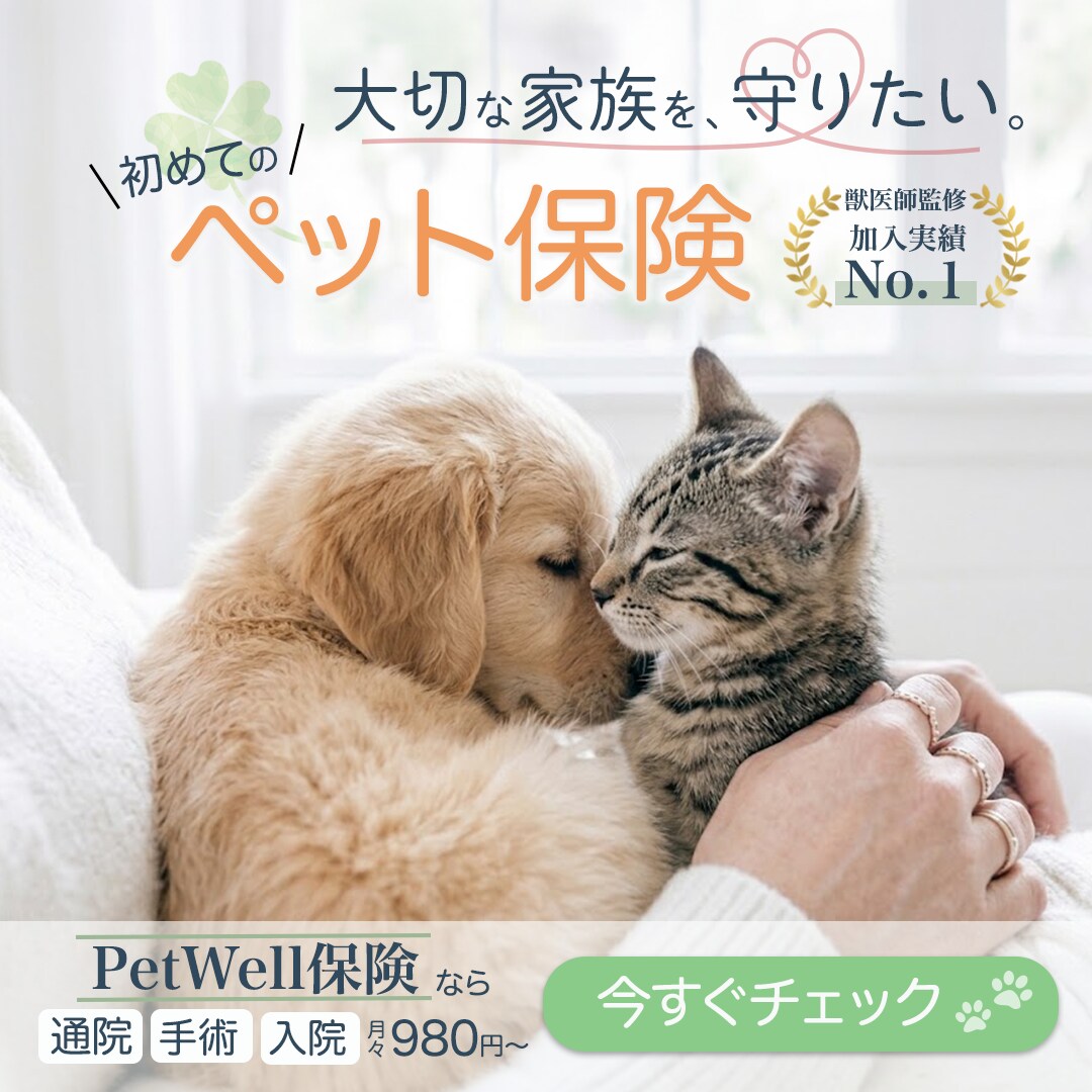 ペット専門！インスタ・SNS投稿画像制作します 動物病院やペットショップの集客に！目を惹くデザイン イメージ3