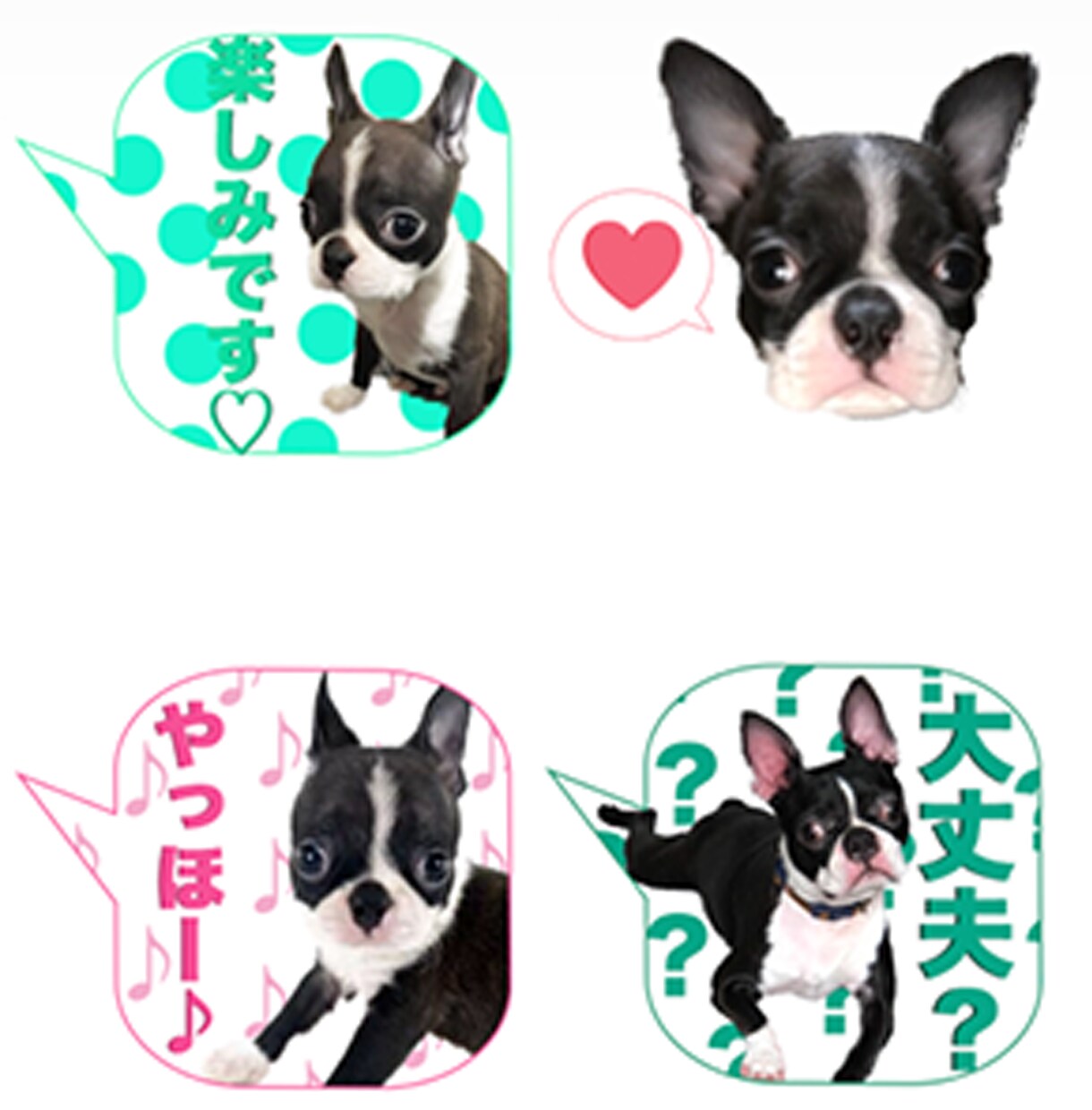 ペットやお子様のLINEスタンプをお作りします 【2000円〜】世界にたった一つのあなただけのスタンプ イメージ3