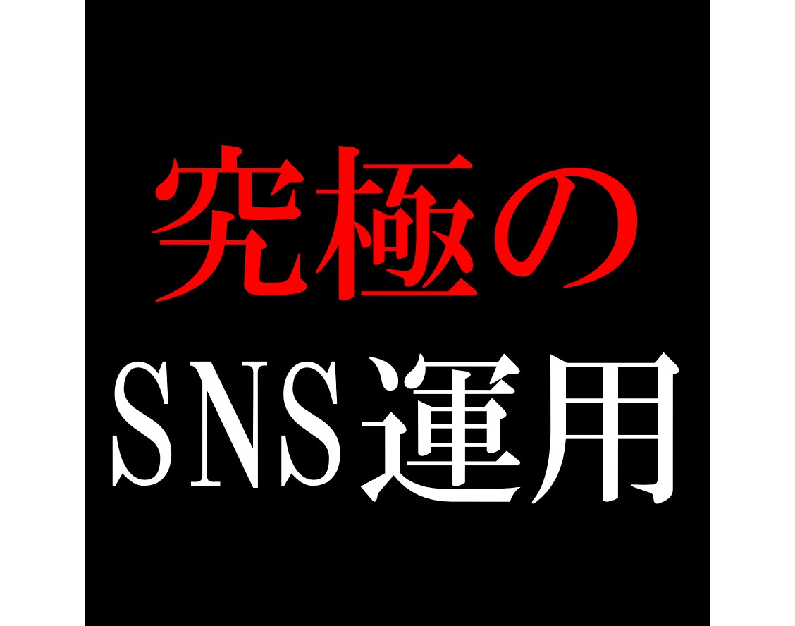 SNS運用のコンサルティングをします SNSで伸びない人は基本的な手順をぶっ飛ばしているだけです イメージ1