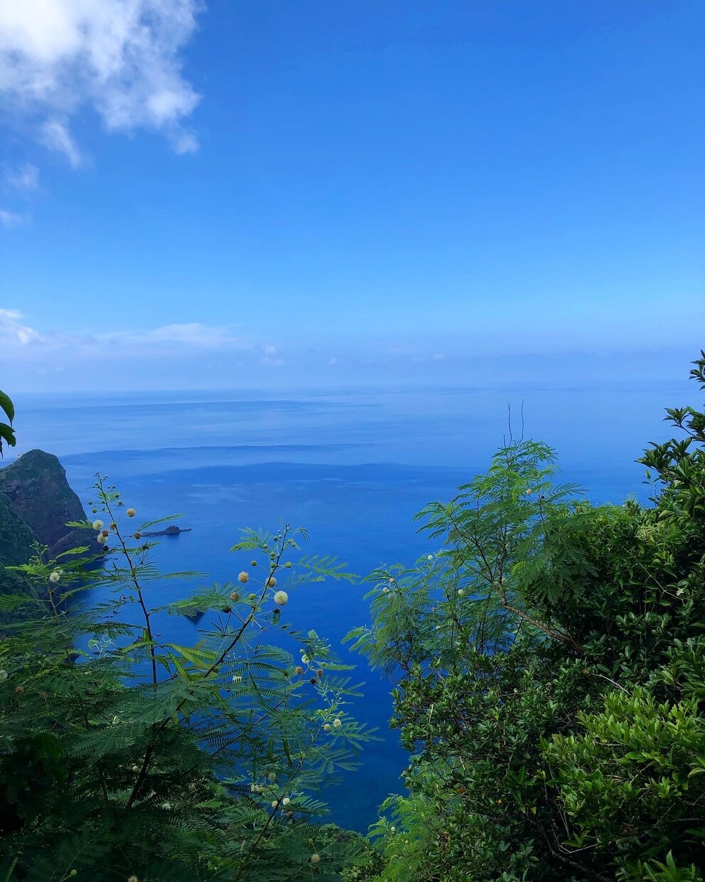 小笠原諸島にて撮影した画像【20枚】提供します ここは本当に東京なの！？世界自然遺産に選ばれている島 イメージ10