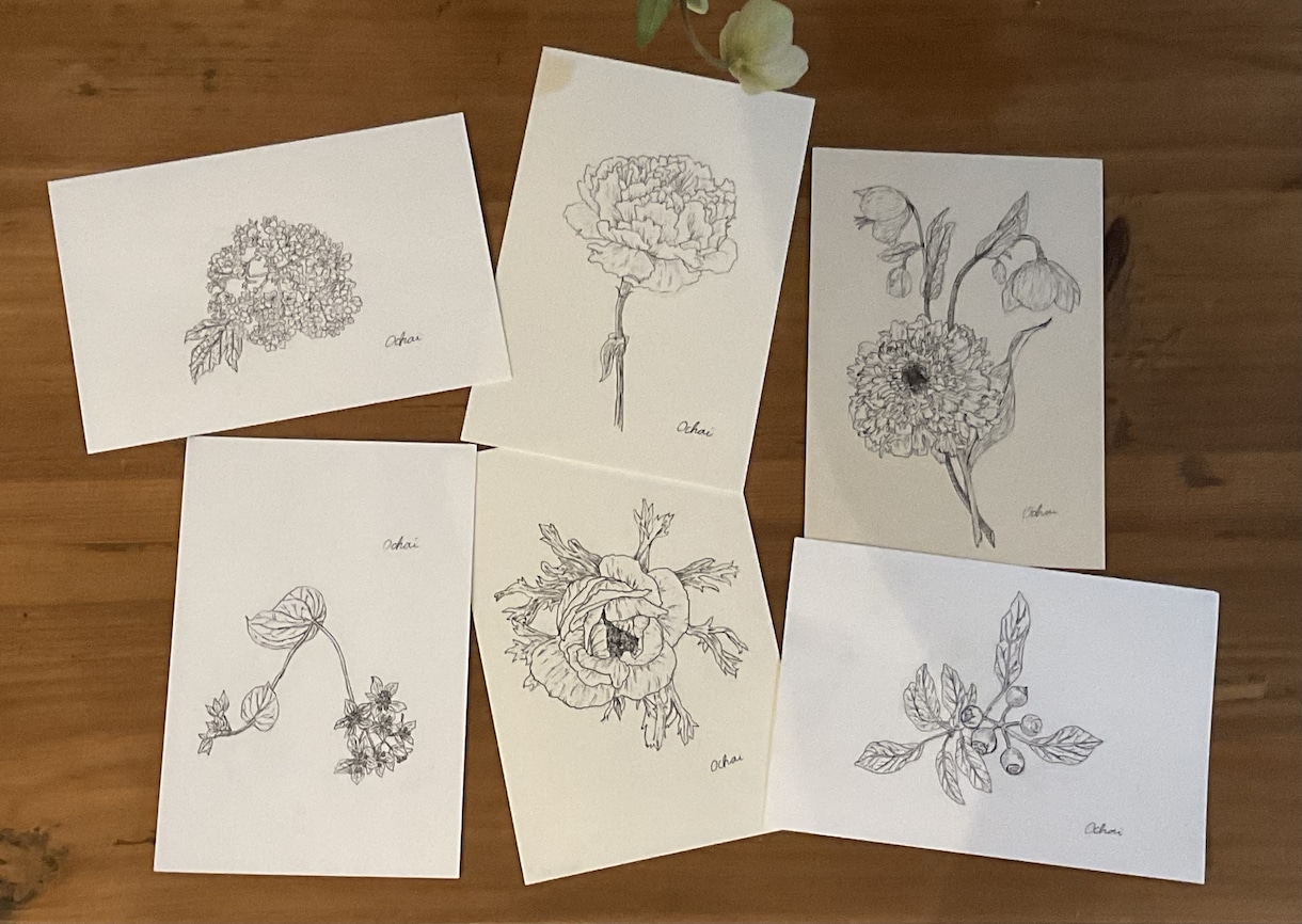 植物のペン画描きます 添付の画像のようなイラストを描きます。 イメージ2