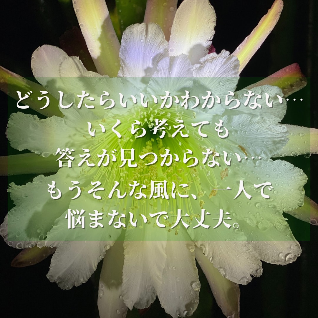 潜在意識に深く入るヨガ＆ヒプノセラピーで解決します 心身バランス整え相乗効果！直感☆集中力＆洞察力UP《４時間》 イメージ2