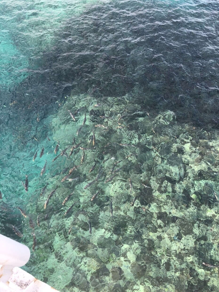 沖縄の写真撮ります 沖縄に行きたいけど行けないあなたに❗️ イメージ5