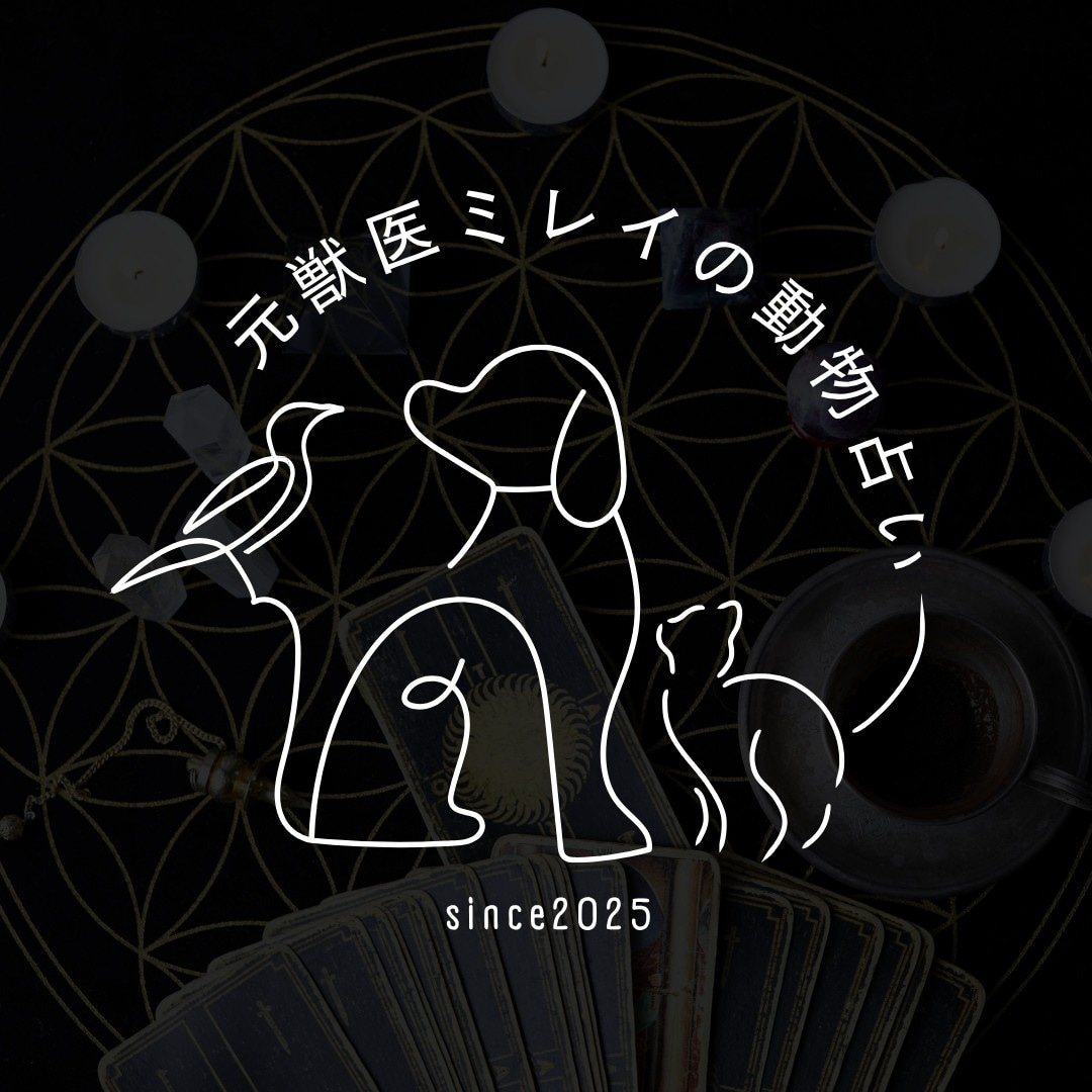 元獣医ミレイが天命どうぶつ占いをします 動物が教えてくれる人生の答え。 イメージ1