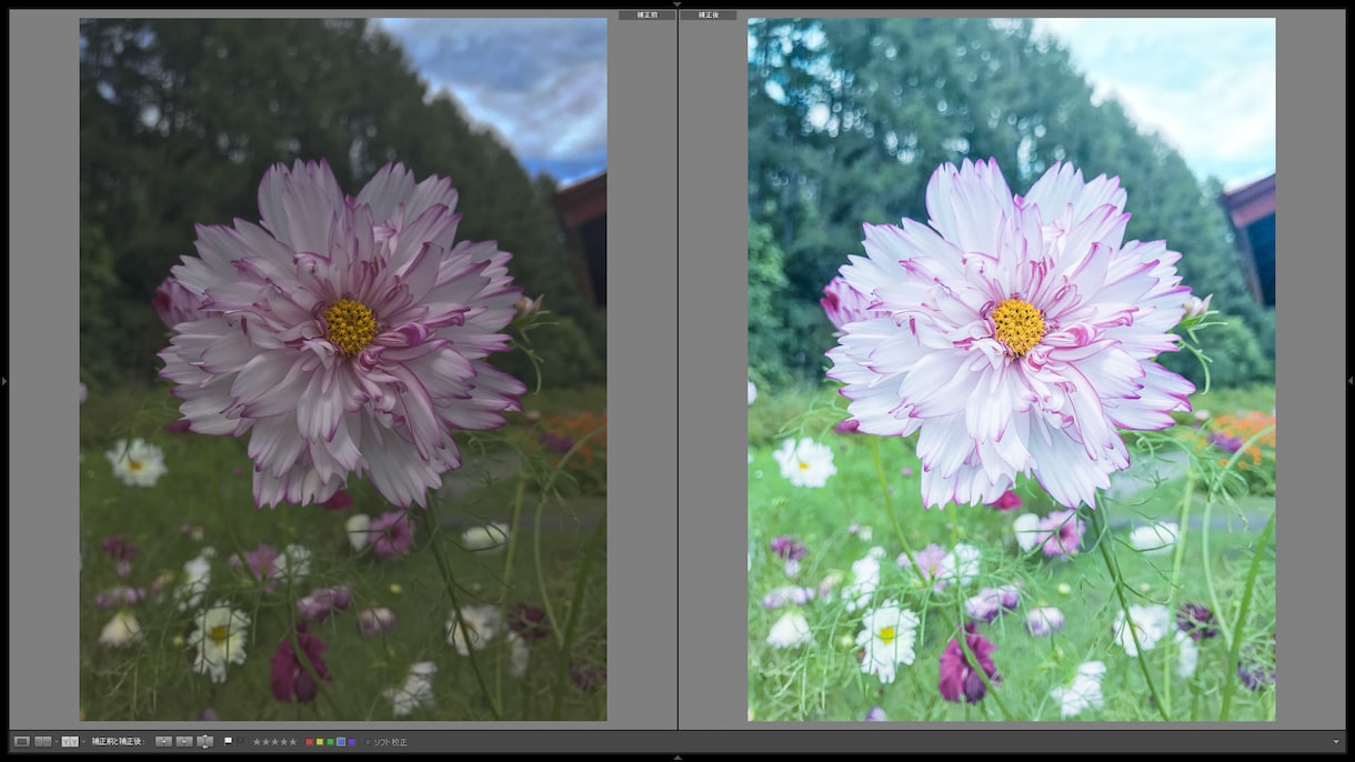 写真をココロ揺さぶる最高の一枚に仕上げます 人物・風景写真/スマホで撮った写真にも対応 イメージ4