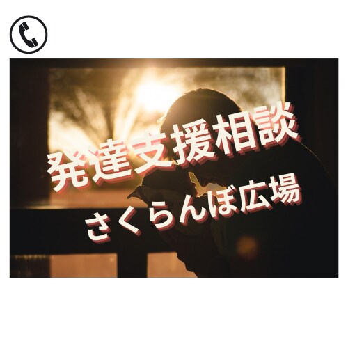 お子さんの発達に必要な対応を教えます 【発達支援相談室】療育の手法をご家庭でやってみたい方 イメージ1