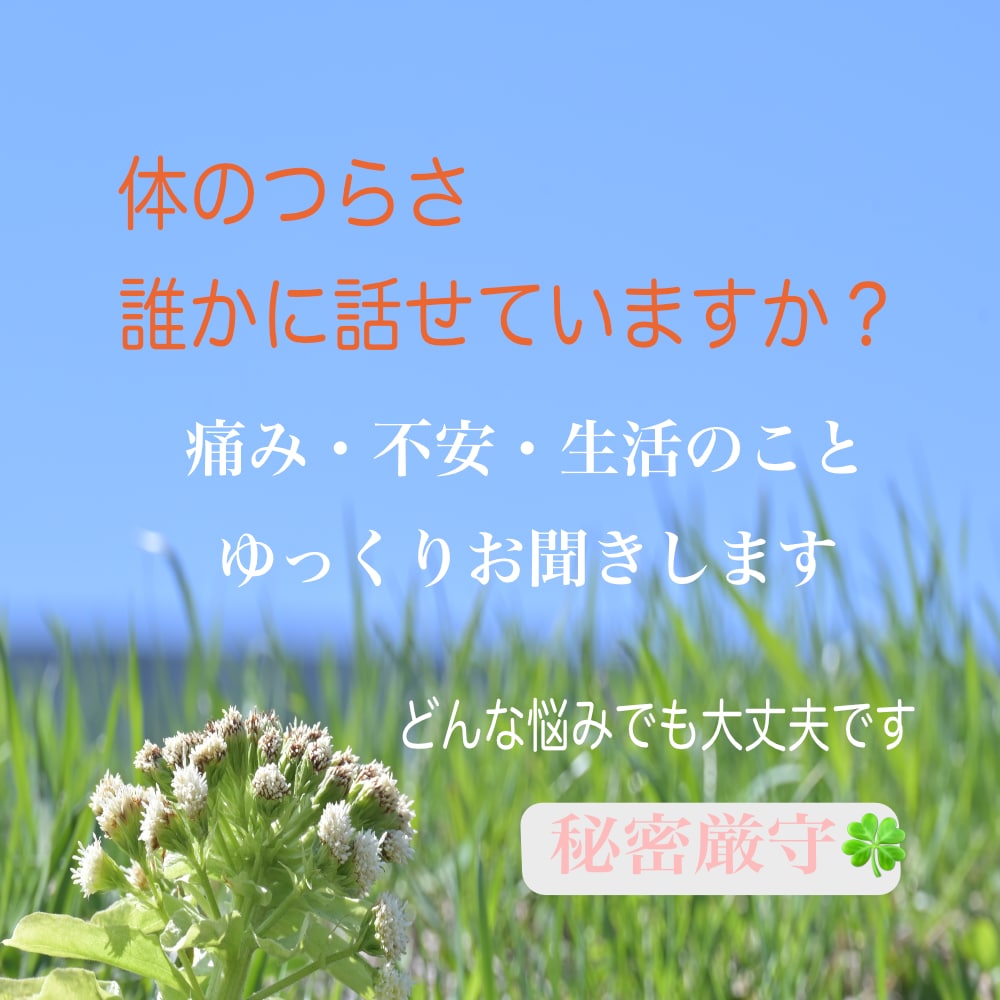 体の痛み辛さを抱え込まないで/経験者が受けとめます 悩み全般/更年期・肩こり・腰痛・闘病・難病/東洋医学・ツボ イメージ1