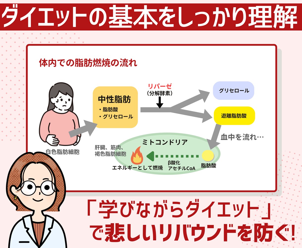専門家が「楽やせダイエット」を徹底サポートします 頑張らずに1ヶ月で-1キロのゆるダイエットを始めませんか？ イメージ3