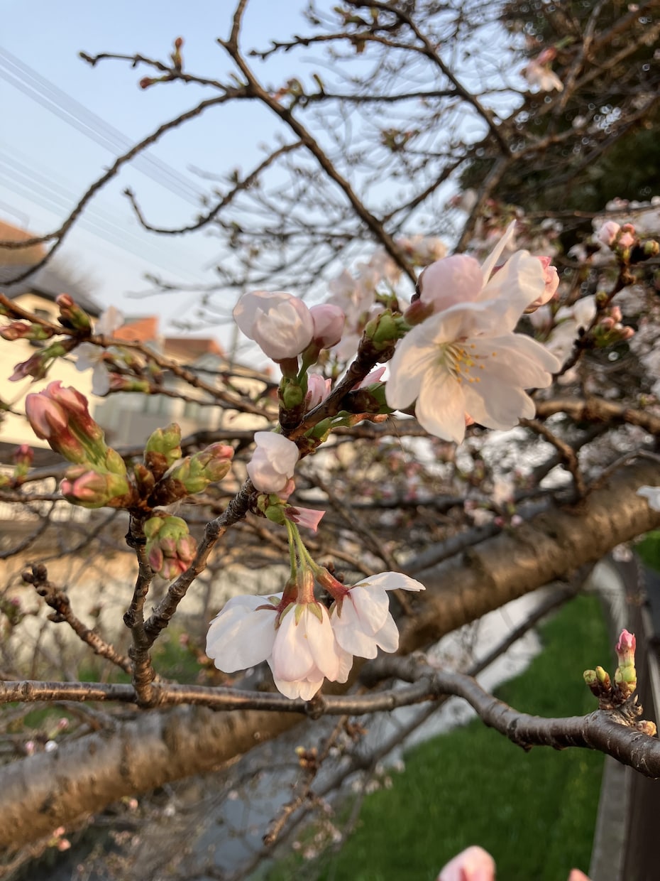 1分からOK！気分変調性障害当事者が寄り添います 症状/うつ病との違い/双極性障害との違い/悩み/不安 イメージ7