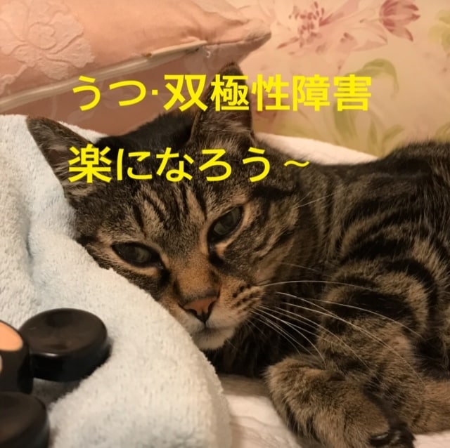 うつ 鬱、双極性障害の方のお話を経験者が聞きます うつのどん底から立ち直った私。ご家族からの相談もOKです♡ イメージ1