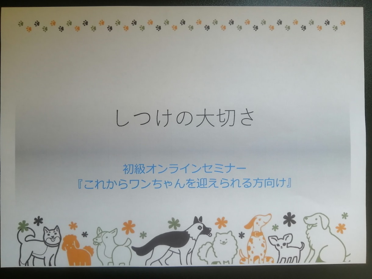 家庭犬専門トレーナーがしつけ方の基本をお伝えします 飼い方、しつけ方、その他日々のお困り事何でもご相談にのります イメージ5