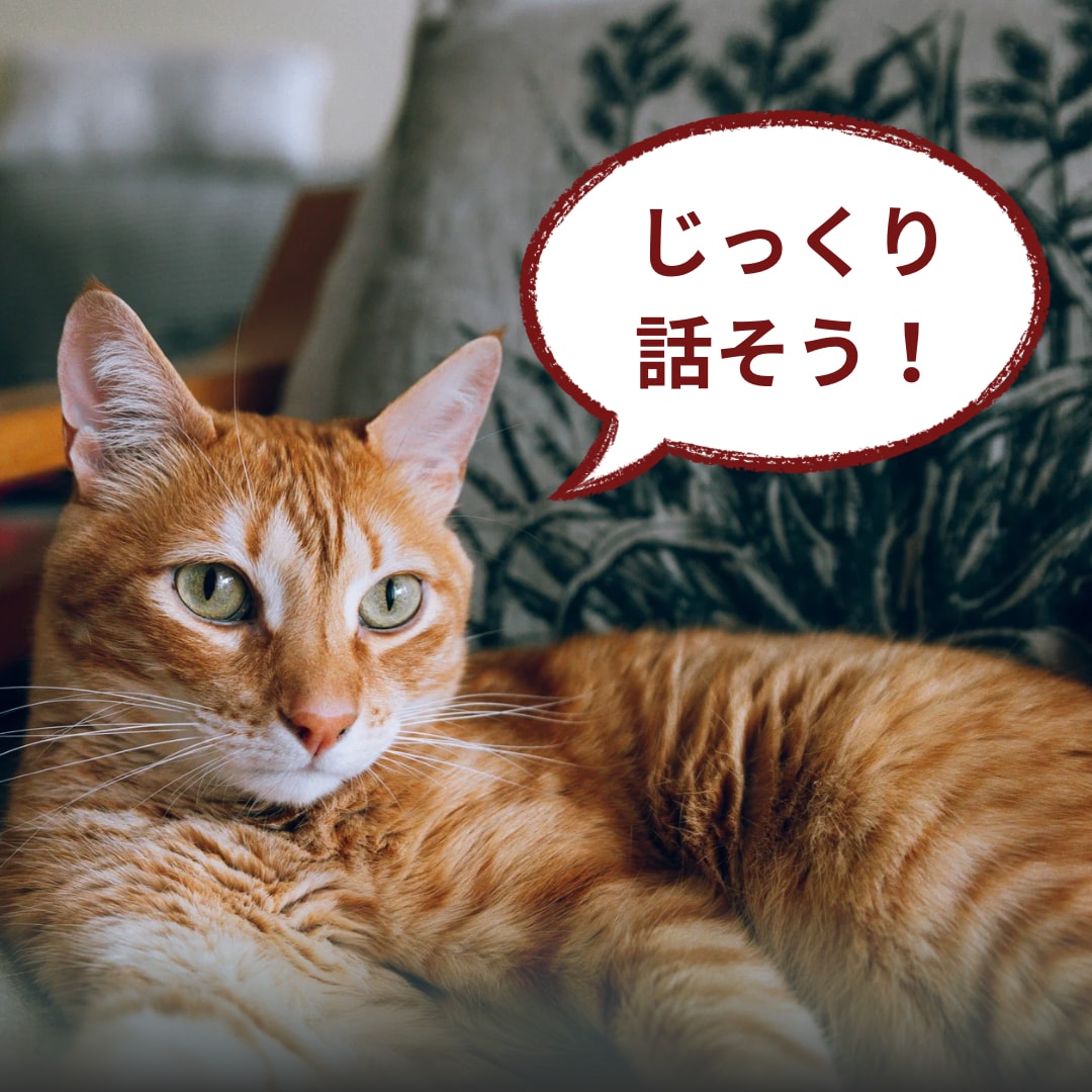 お話聞きます。お答えします ようこそ☺️たくさん話してスッキリしましょう イメージ1