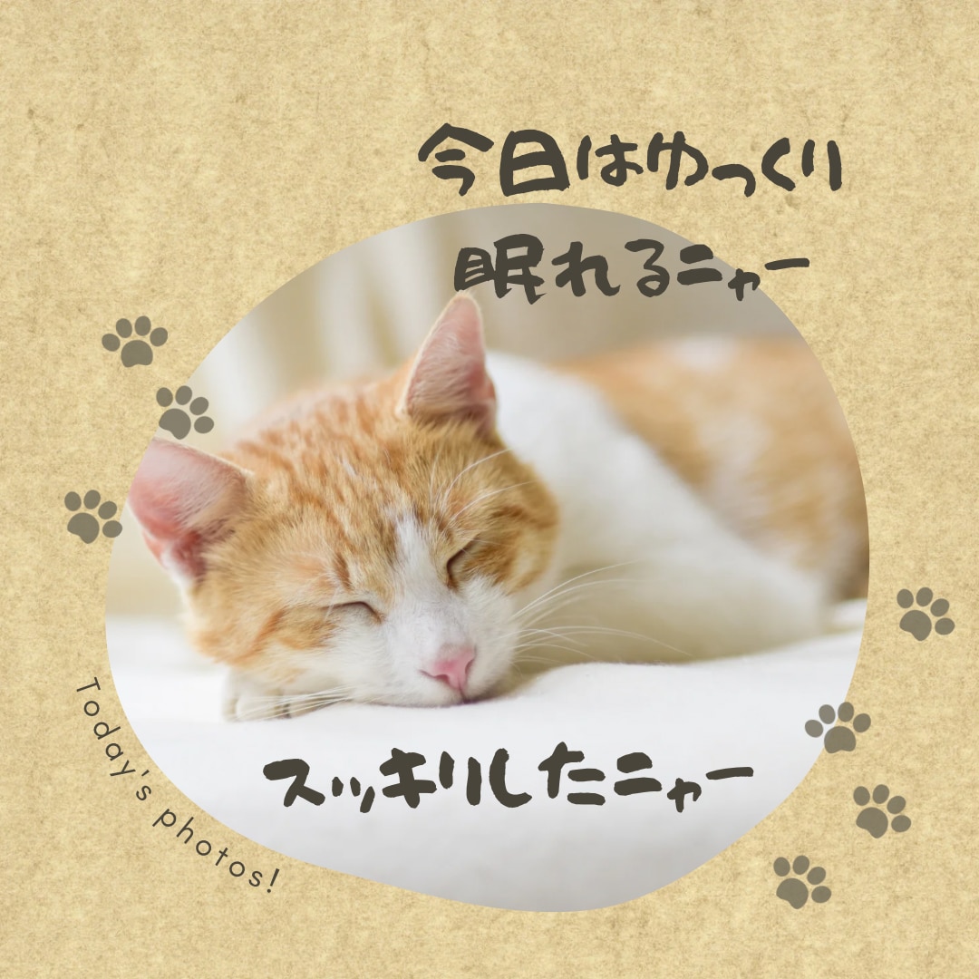 恋愛話・愚痴etc.何でも聞きます 現役占い師がそっと寄り添います イメージ5