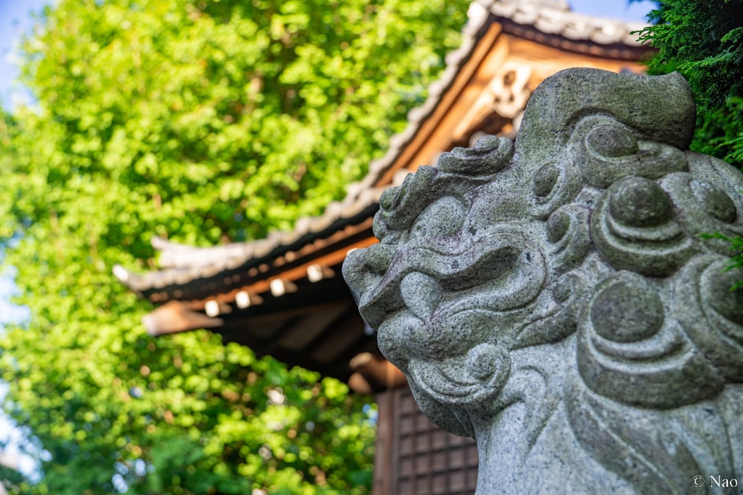 東京23区内の観光スポットの写真を撮影代行します 風景、建物、食べ物など｜商用利用可・RAW現像サービス付 イメージ6