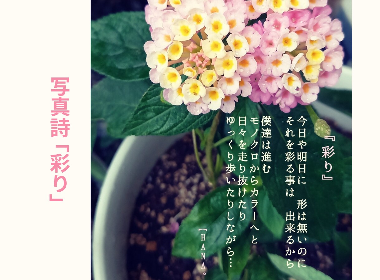 お話し相手相談相手｢言葉の花束｣をあなたに届けます お話し相手となり、貴方に寄り添うお言葉、お声掛けを致します。 イメージ7