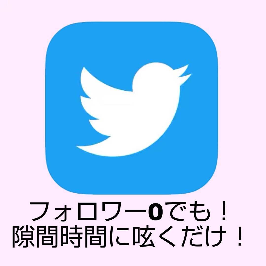 Twitterで稼げる副業の仕方教えます フォロワー0でも大丈夫！作業時間10分 イメージ2