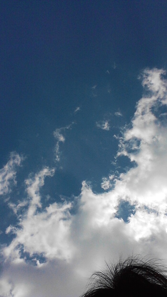 必要な時に　あなたの気持ちを　ききます❁ イメージ1