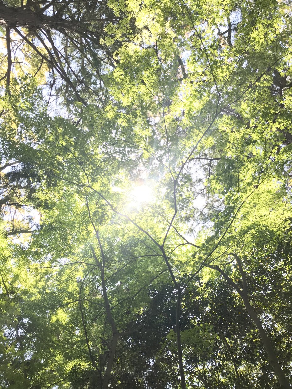 山口県とその周辺のスナップ写真を撮影します スマホで撮影した普通の写真が必要な方へ イメージ8