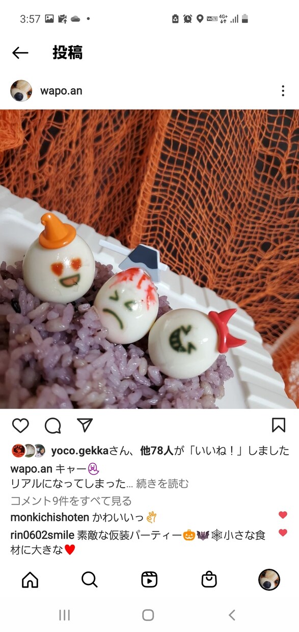 昔から器用貧乏と言われています 常時いろんなアイデアが彷彿してます。可愛い、綺麗、面白い得意 イメージ9