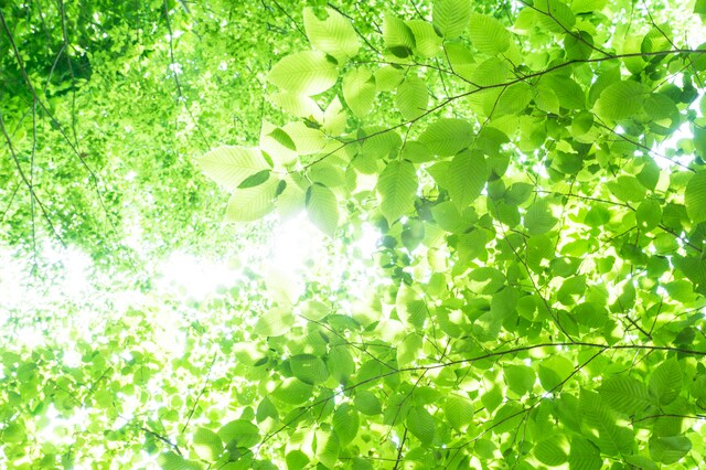 あなたの愚痴や言いたい不満や主張をお聞きします 我慢はもうここまで。胸につかえている事を吐き出しませんか‼️ イメージ2